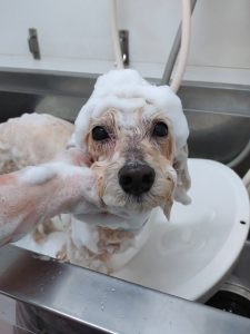 20251218_143402_copy_2700x3600_1