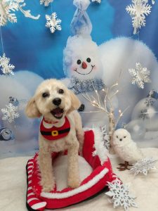 20251218_163621(1)~2_copy_1906x2544