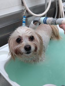 20251218_173959_copy_1944x2592