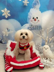 20251218_190228~4_copy_1974x2632