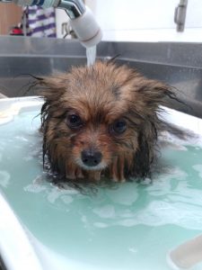 20251219_090223_copy_2160x2880