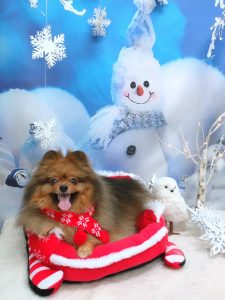 20251219_103541_copy_2828x3770_1