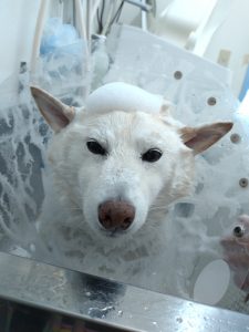 20251219_112848_copy_2495x3326