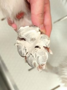 20251219_114114_copy_2400x3200_1