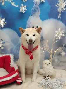 20251219_124216_copy_1968x2624