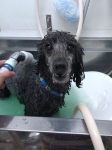 20251219_161337_copy_1944x2592