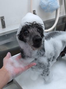 20251219_162530_copy_1838x2452