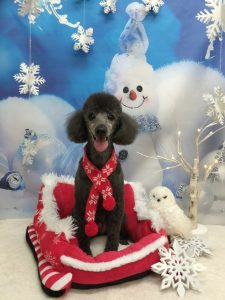 20251219_180437_copy_2066x2756