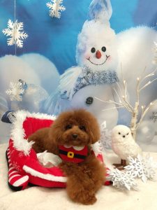 20251219_191110_copy_2046x2727