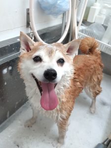 20251220_123919_copy_2700x3600_1