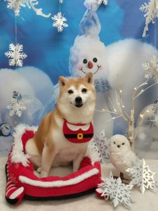 20251220_134047_copy_1944x2592