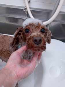 20251220_143406_copy_2558x3411_1