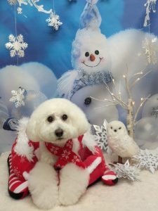 20251220_183627_copy_2102x2804