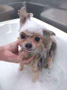 20251222_090204_copy_2700x3600