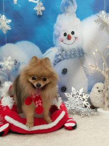 20251222_100143(1)_copy_2018x2690