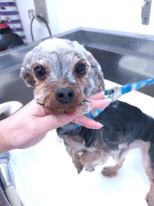 20251222_125451_copy_2700x3600_1