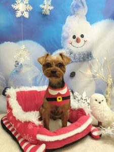 20251222_170243~2_copy_2050x2733