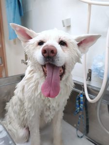 20251223_102548_copy_2700x3600