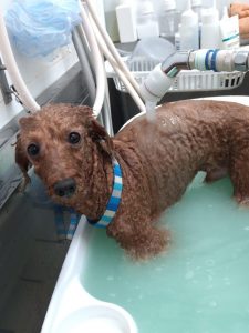 20251223_151925_copy_2002x2670