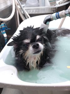 20251223_175750_copy_1944x2592