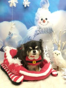 20251223_185101_copy_2084x2779