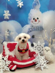 20251225_114334_copy_2032x2708_1