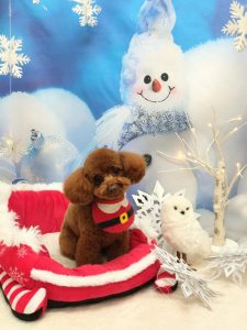 20251225_150309(1)~2_copy_2004x2673