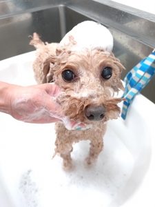 20251225_153726_copy_2550x3400_1