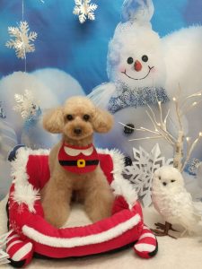 20251225_175504~2_copy_2016x2686