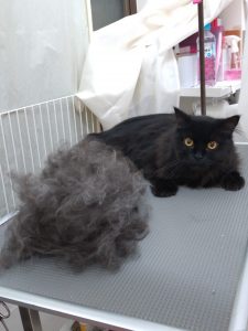 20251225_182646_copy_1954x2604