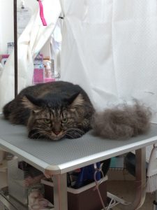 20251225_183729_copy_1902x2534