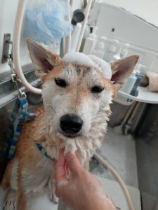 20251226_091915_copy_2516x3355