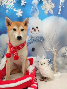 20251226_100622_copy_2741x3654_1