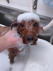 20251226_111144_copy_3019x4025