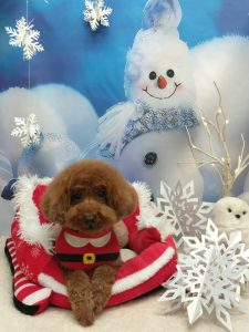 20251226_131017(1)_copy_1998x2663