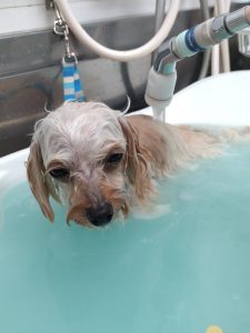 20251226_140200_copy_2090x2786