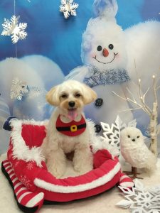 20251226_160938_copy_2022x2694