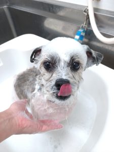 20251226_165226_copy_2700x3600_1