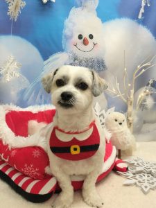 20251226_183416~2_copy_1968x2624