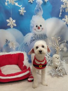 20251227_112723_copy_1894x2526