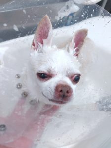 20251227_114416_copy_2865x3820