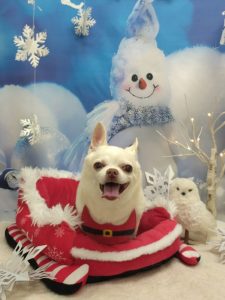 20251227_123742_copy_2160x2880