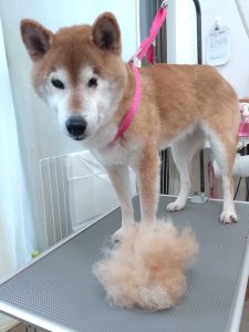 20251227_131213_copy_2492x3323