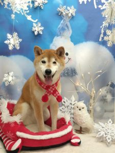 20251227_141023(1)_copy_1979x2638