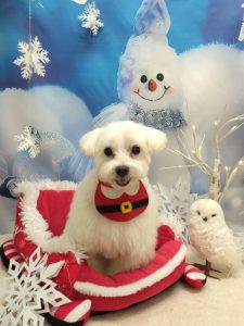 20251227_161407_copy_2058x2744