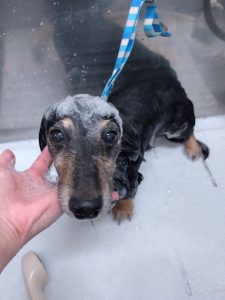 20251227_164305_copy_2700x3600_1