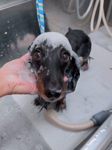 20251227_173925_copy_3286x4381