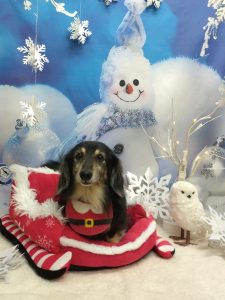 20251227_183609_copy_2029x2706