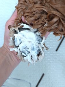 20251229_095528_copy_2696x3594