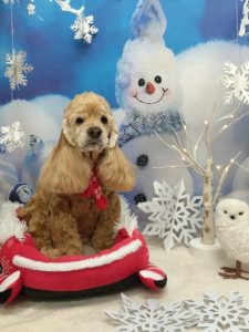 20251229_110832_copy_2040x2719